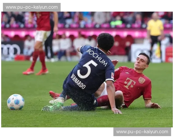 德甲2023：激情与革新的黄金赛季